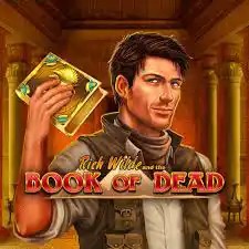 Official Slots logo: Book of Dead by Play'n GO at Rabona Casino